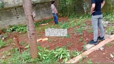 Wakil Ketua DPRD DKI