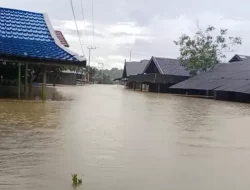 Banjir Mulai Melanda 3 Kabupaten di Kalteng BMKG Ingatkan Puncak Musim Hujan Akhir Tahun