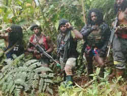 JM Pentolan KKB Masih Hidup Diduga Dalang Penyerangan di Mile 50 Papua