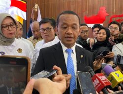 Setop Impor Solar Pemerintah Ingin Kembangkan 2 Juta Hektare Kebun Sawit Lagi